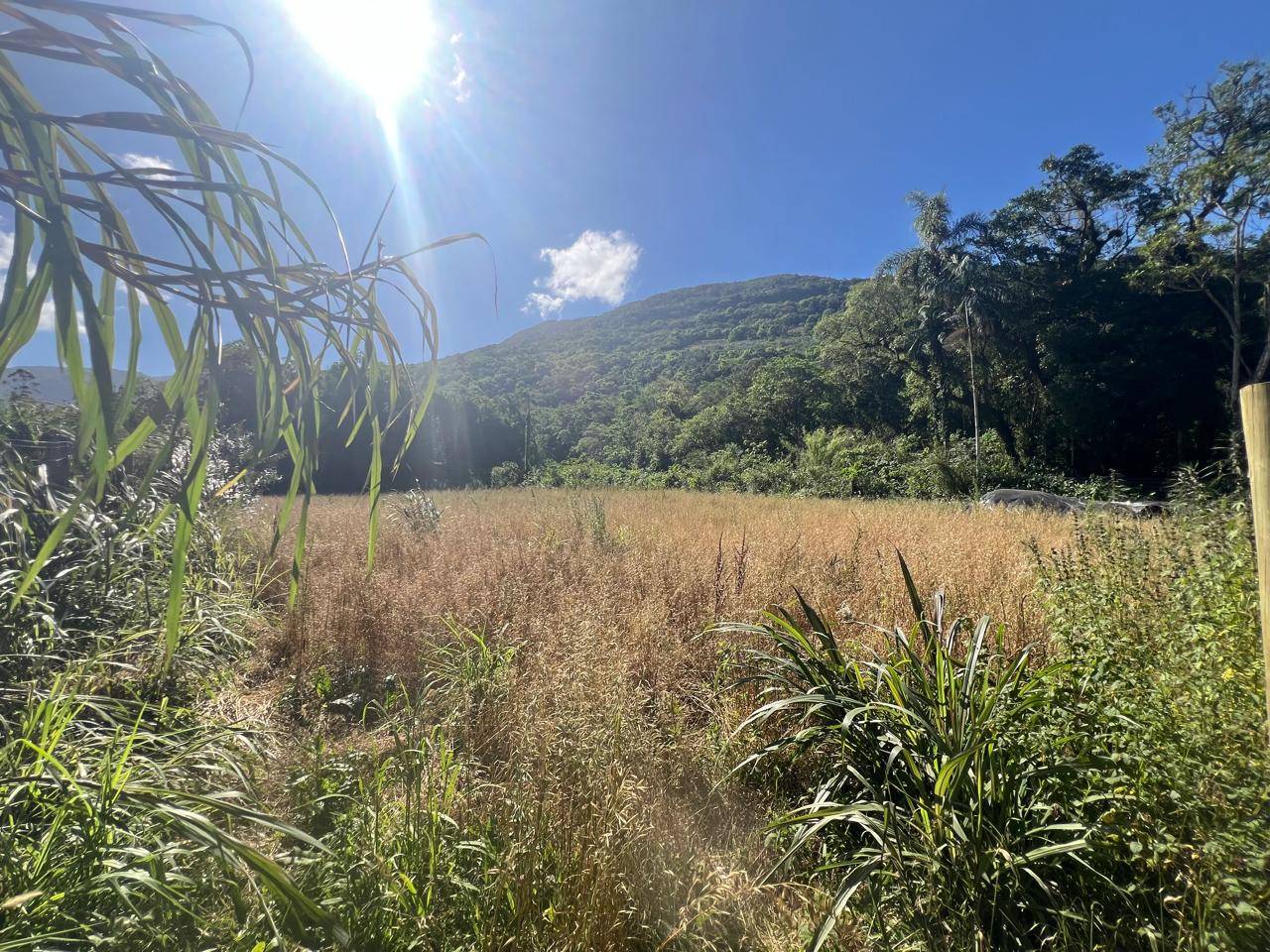 Terreno para venda, Arroio do Padre em Itati | Ref.: 243