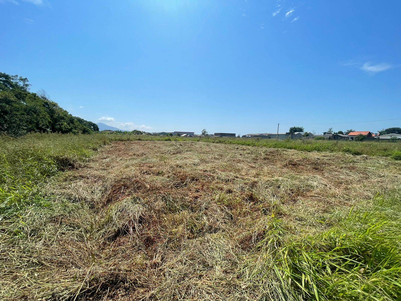 Terreno para venda, Centro em Terra de Areia | Ref.: 265
