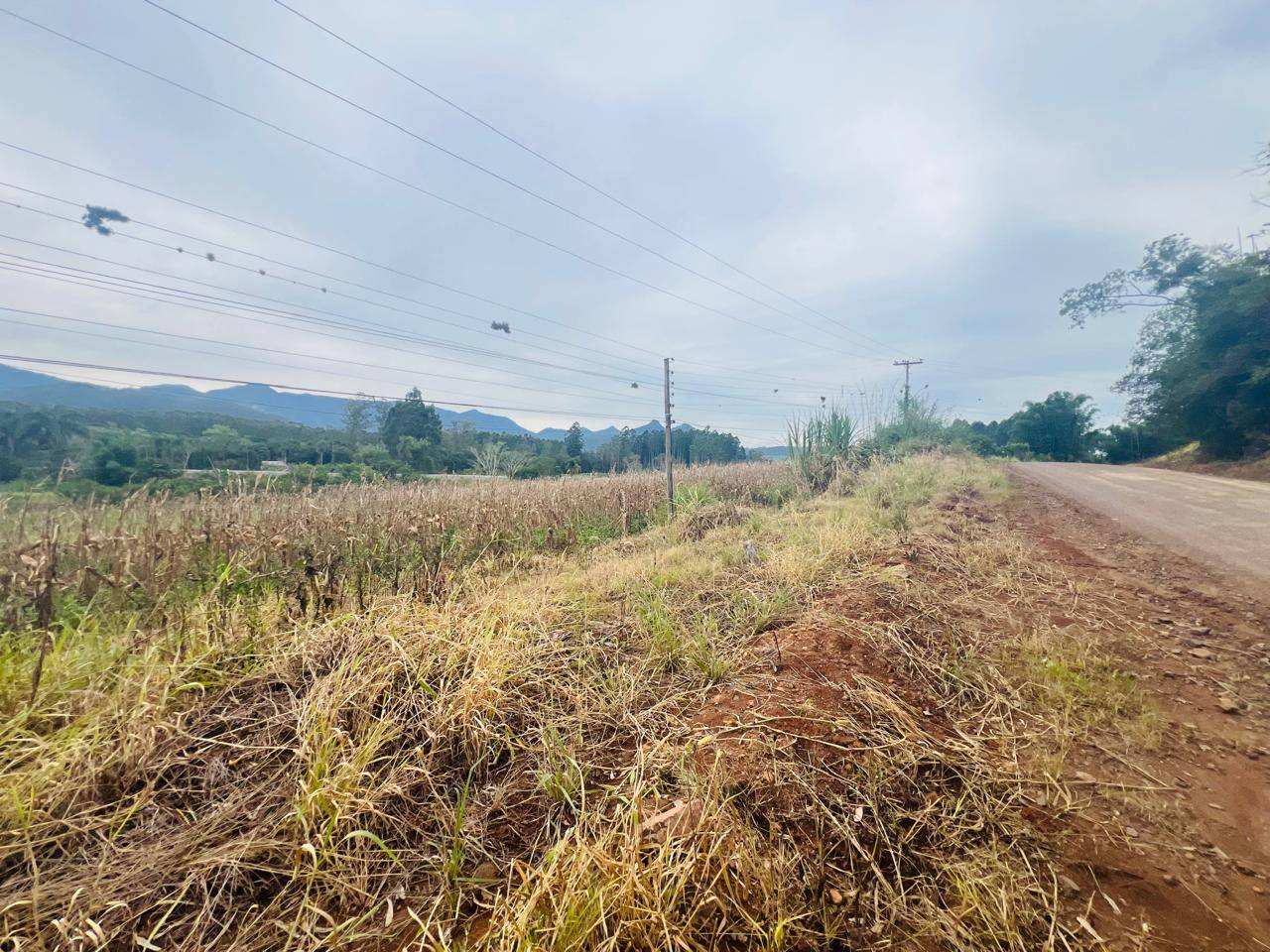 Terreno para venda em Itati | Ref.: 310