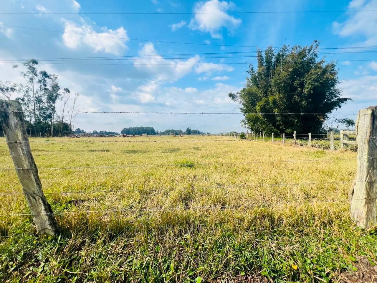 Terreno para venda, Boa Vista em Terra de Areia | Ref.: 311