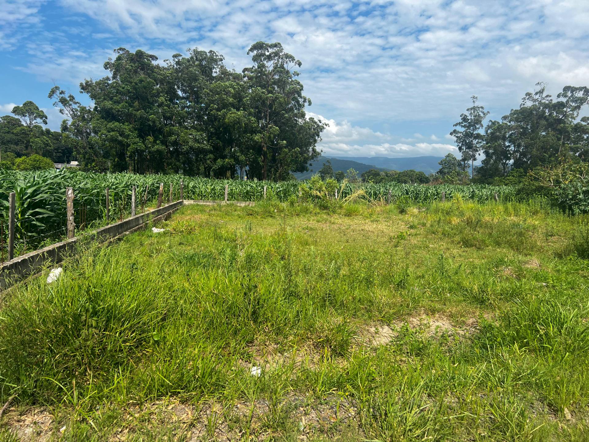Terreno para venda, Olaria em Terra de Areia | Ref.: 93